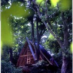Experimental Timber “Tree House”, West Cork
