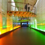 Ecology Gallery, Natural History Museum, London